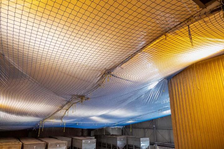 Installation de filet de sécurisation anti-chute Vienne