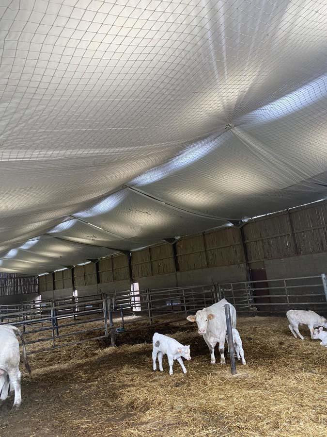 Filet de protection Vienne