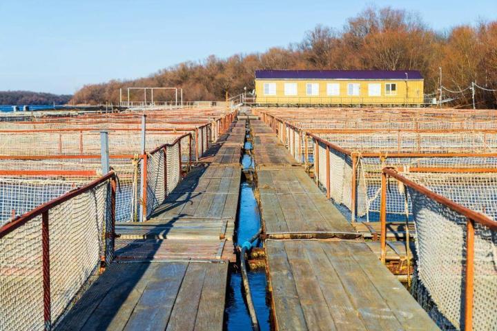 Soucieux de la sécurité de l’environnement de travail, nous ne proposons que du matériel de protection éprouvé.